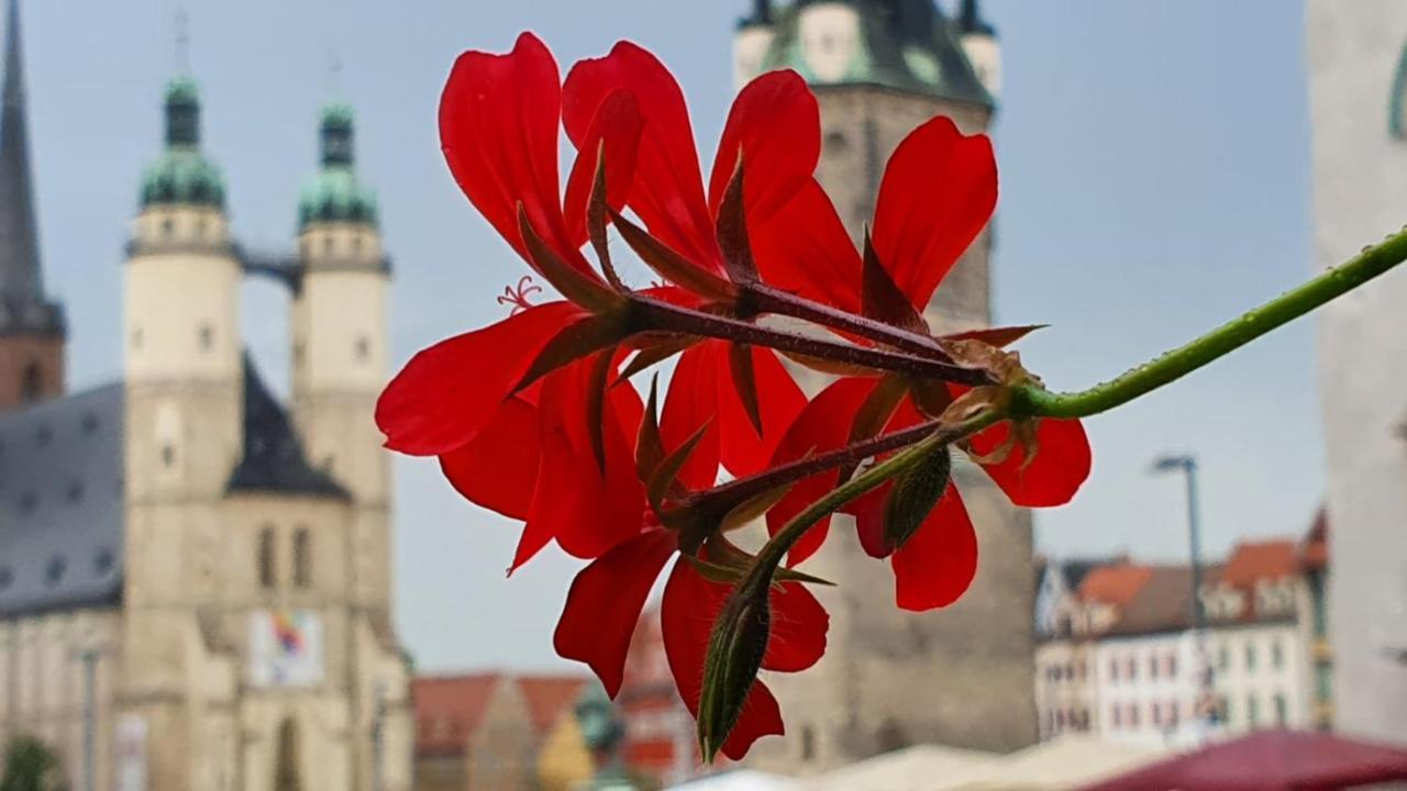 Budget Rooms In Halle With Shared Bathroom, Free Wifi, Netflix & Ipad Dış mekan fotoğraf